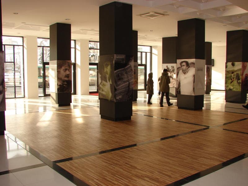 Cinema Florin Piersic